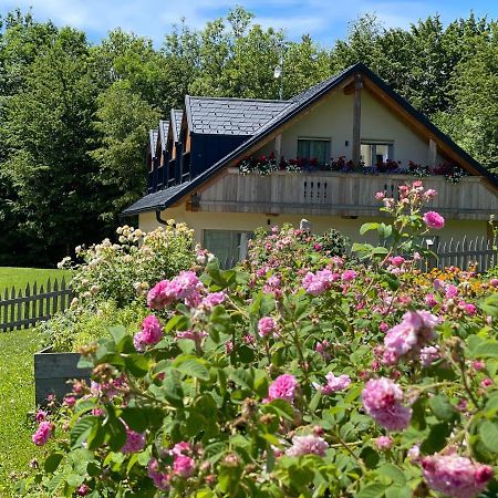 Loft Naturalpina Dolomiti Farm Беллуно Екстер'єр фото