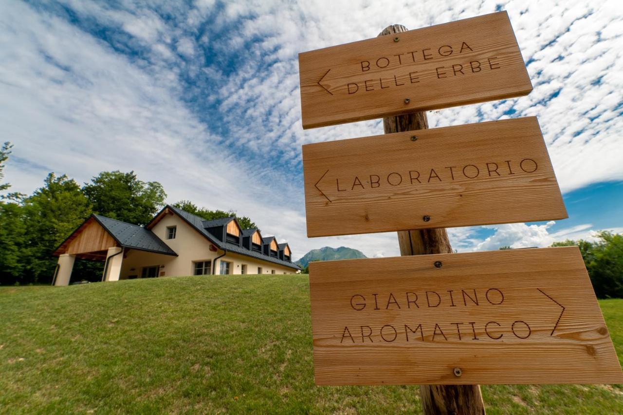 Loft Naturalpina Dolomiti Farm Беллуно Екстер'єр фото