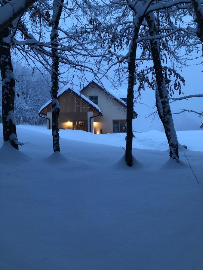 Loft Naturalpina Dolomiti Farm Беллуно Екстер'єр фото