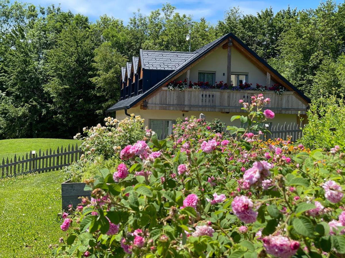 Loft Naturalpina Dolomiti Farm Беллуно Екстер'єр фото